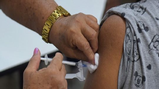 Ministério da Saúde pede atenção para vigilância e vacinação de febre amarela – Saúde